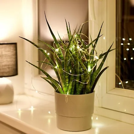 Sehr Gemuetlich Und Modern Appartement Haldensleben