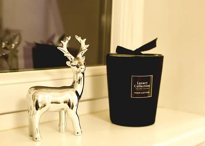 Sehr Gemuetlich Und Modern Appartement *