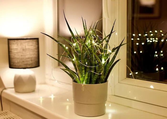 Sehr Gemuetlich Und Modern Διαμέρισμα Haldensleben